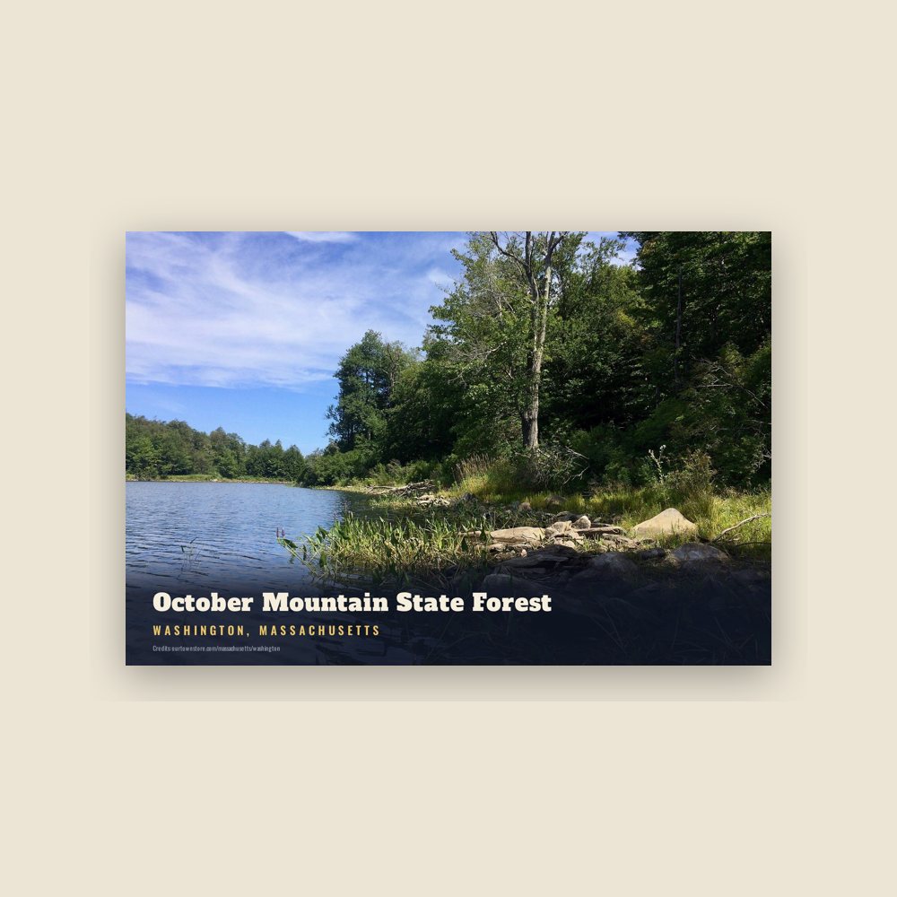 Washington October Mountain State Forest Postcard