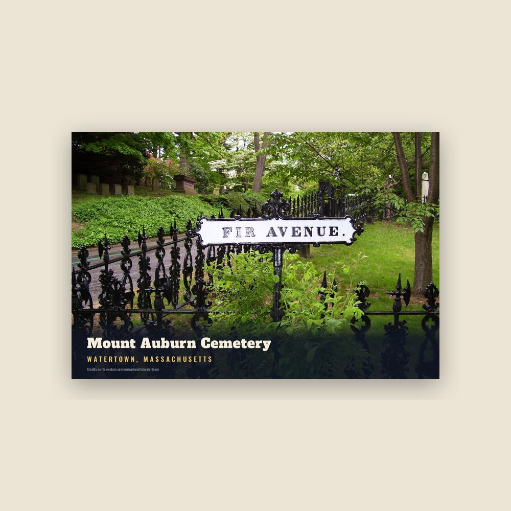 Watertown Mount Auburn Cemetery Postcard