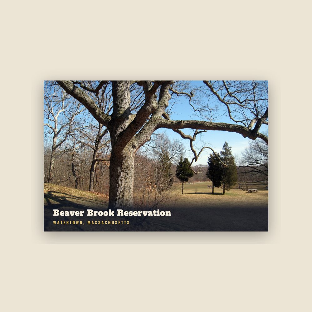 Watertown Beaver Brook Reservation Postcard