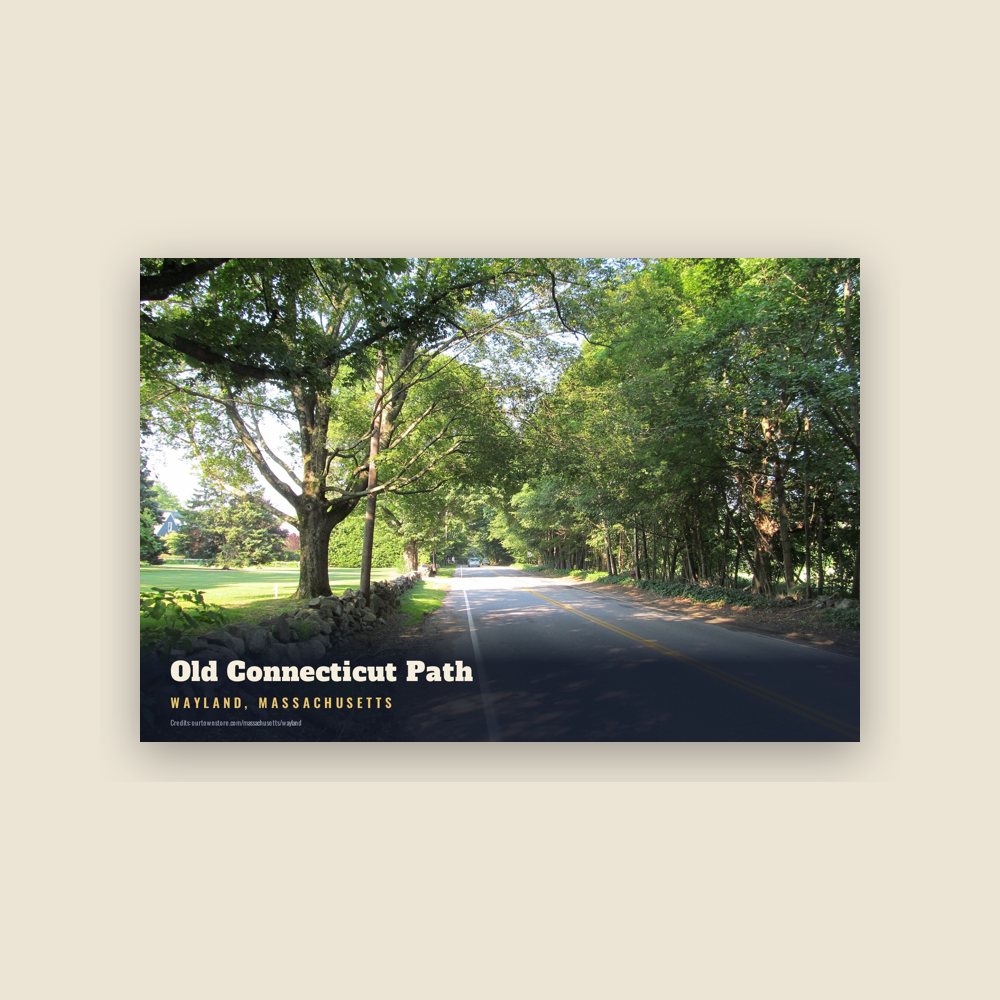 Wayland Old Connecticut Path Postcard
