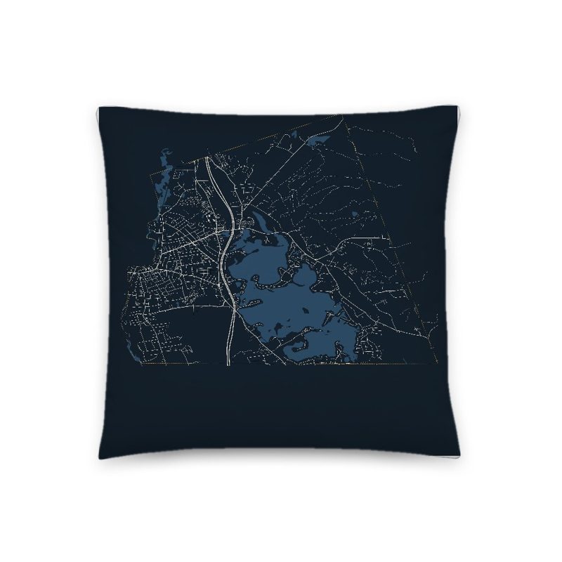 Webster Map Throw Pillow