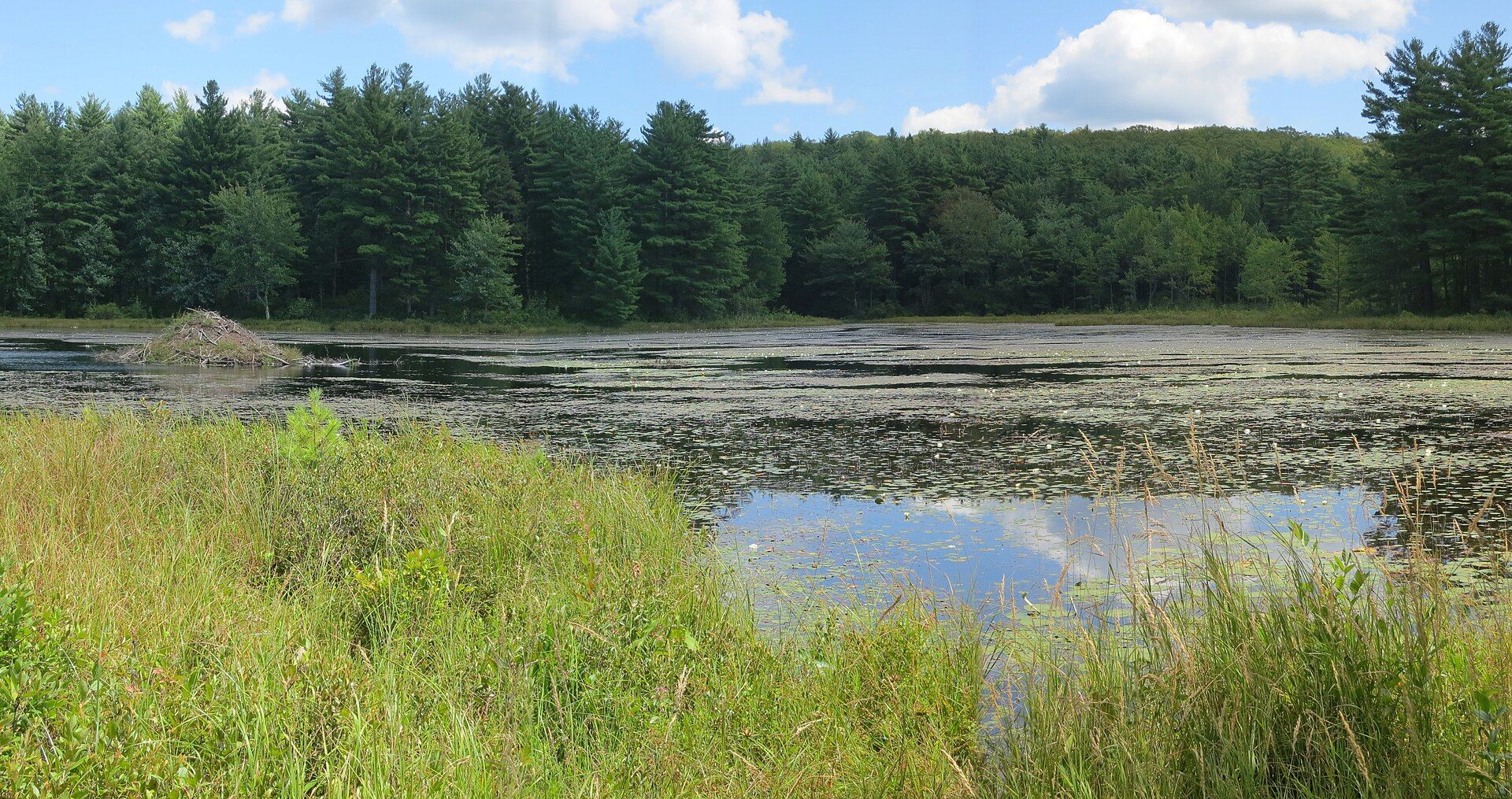 Wendell State Forest, Wendell, Massachusetts