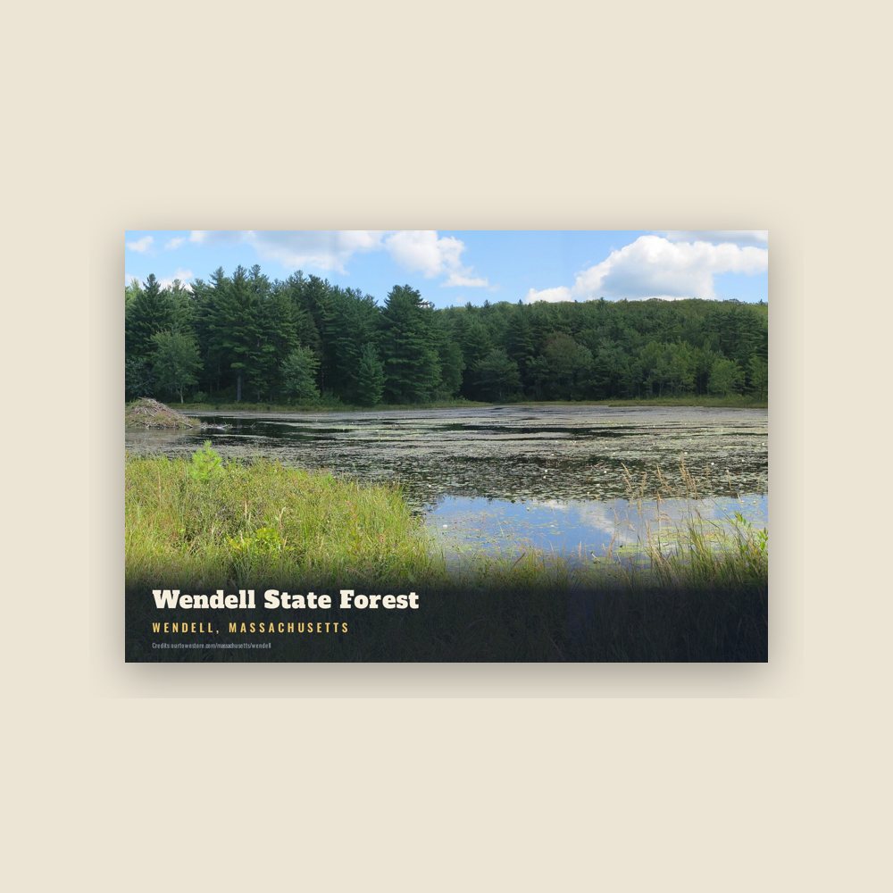 Wendell Wendell State Forest Postcard
