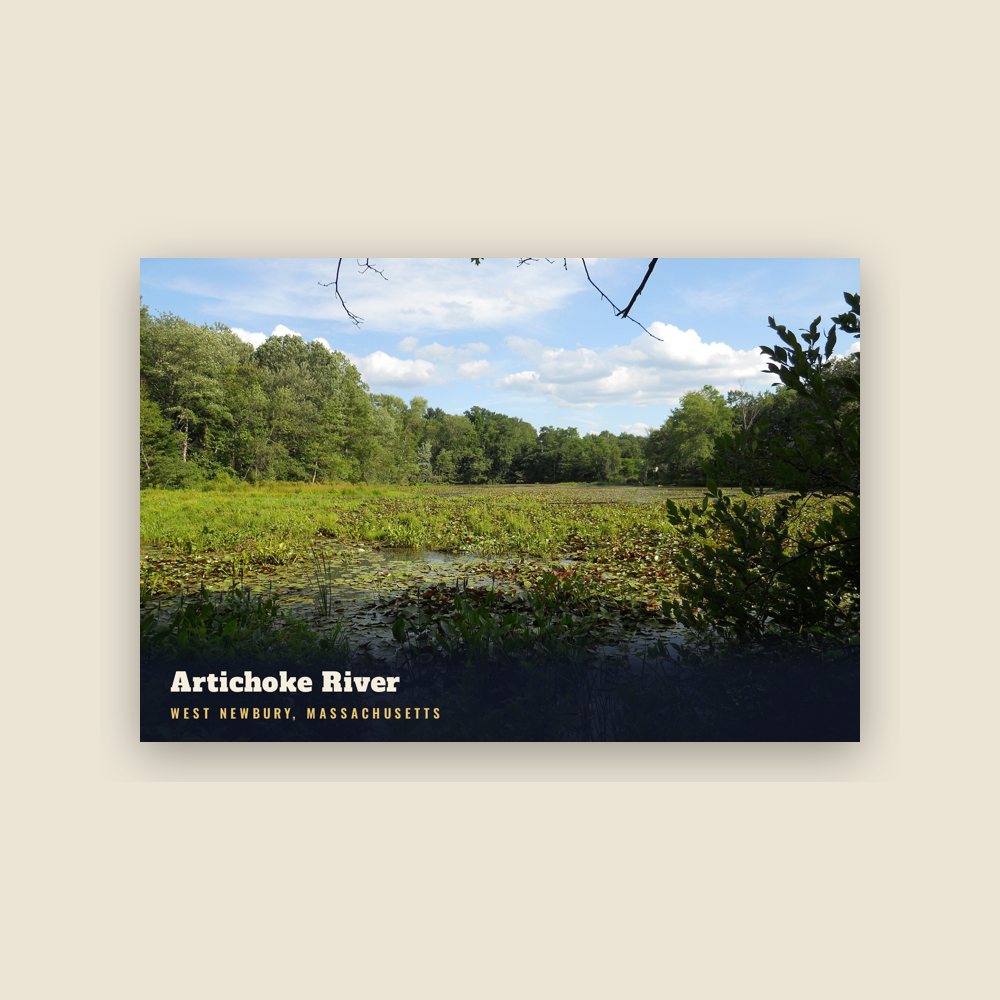 West Newbury Artichoke River Postcard