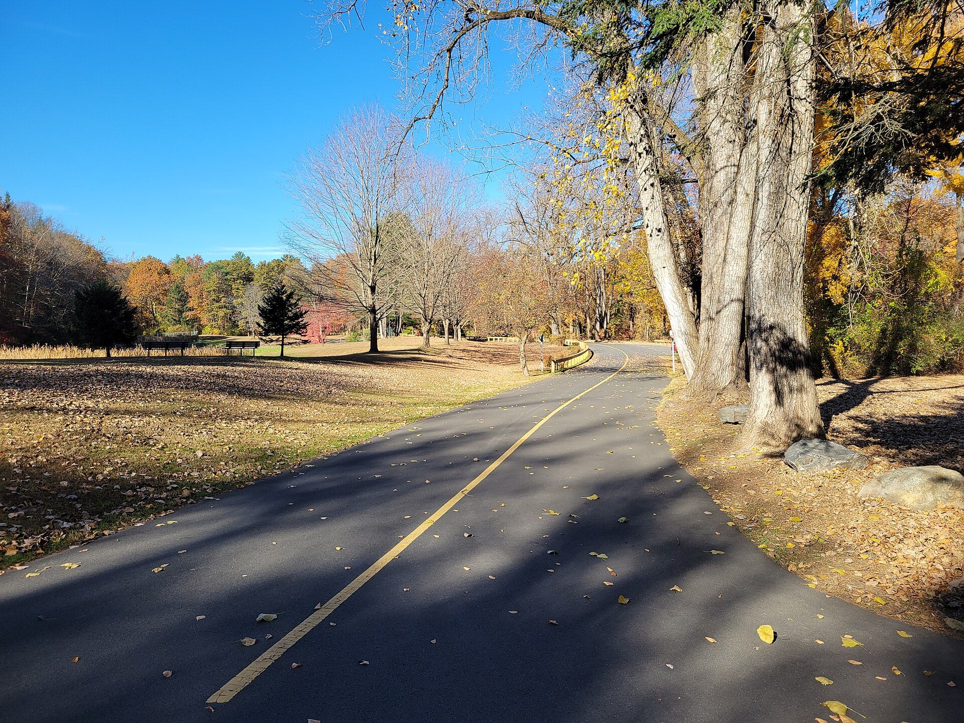 Robinson State Park, West Springfield, Massachusetts