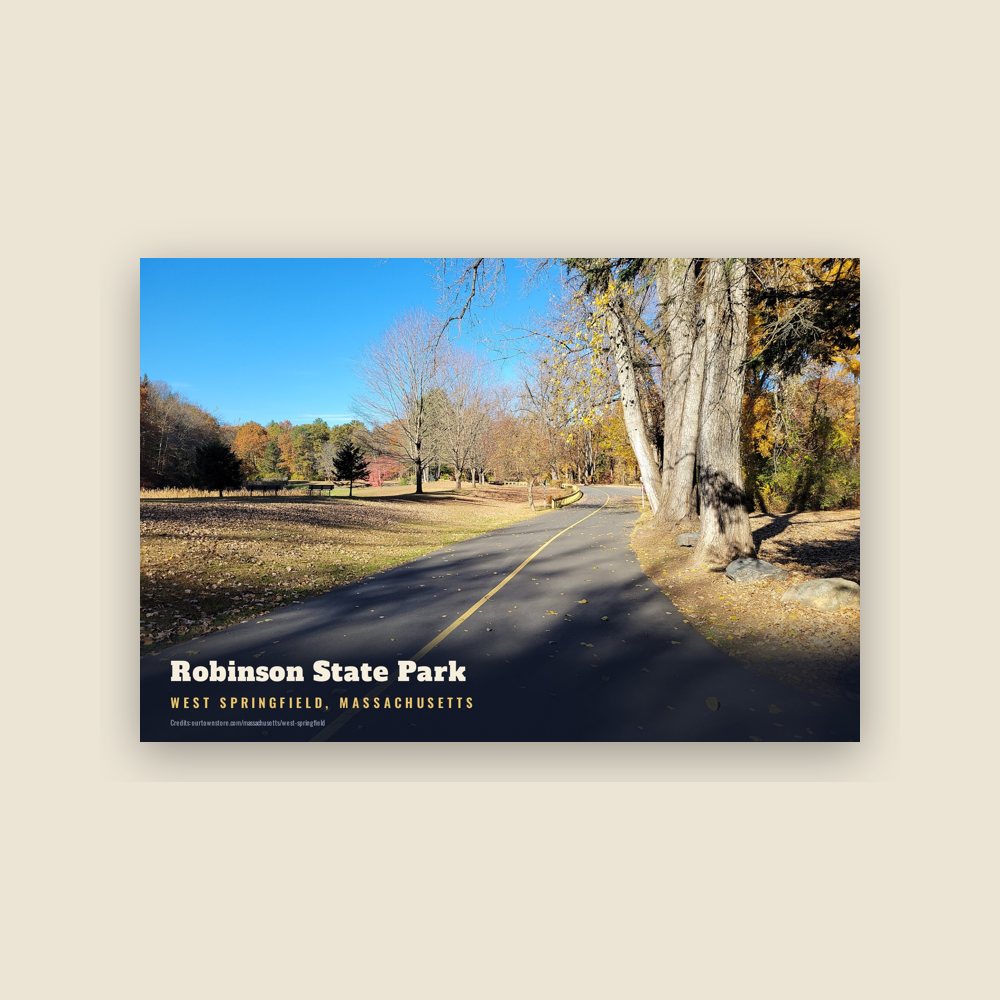 West Springfield Robinson State Park Postcard