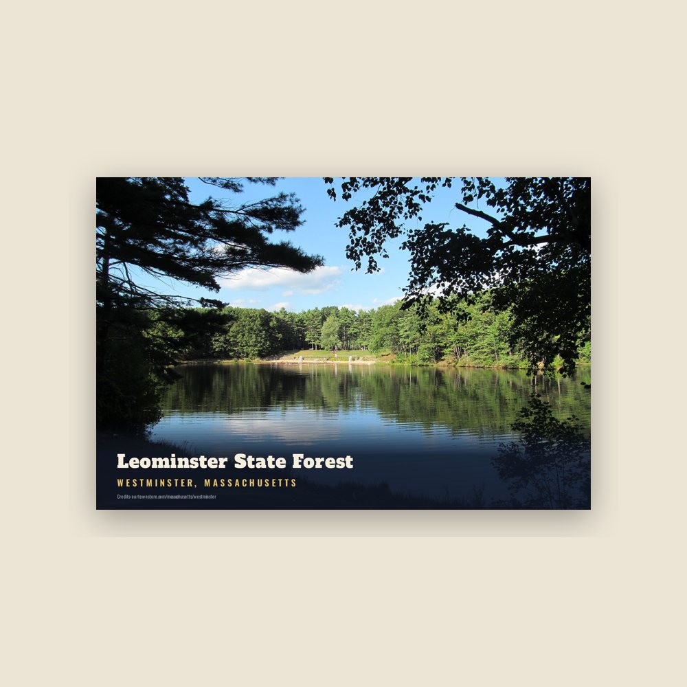 Westminster Leominster State Forest Postcard