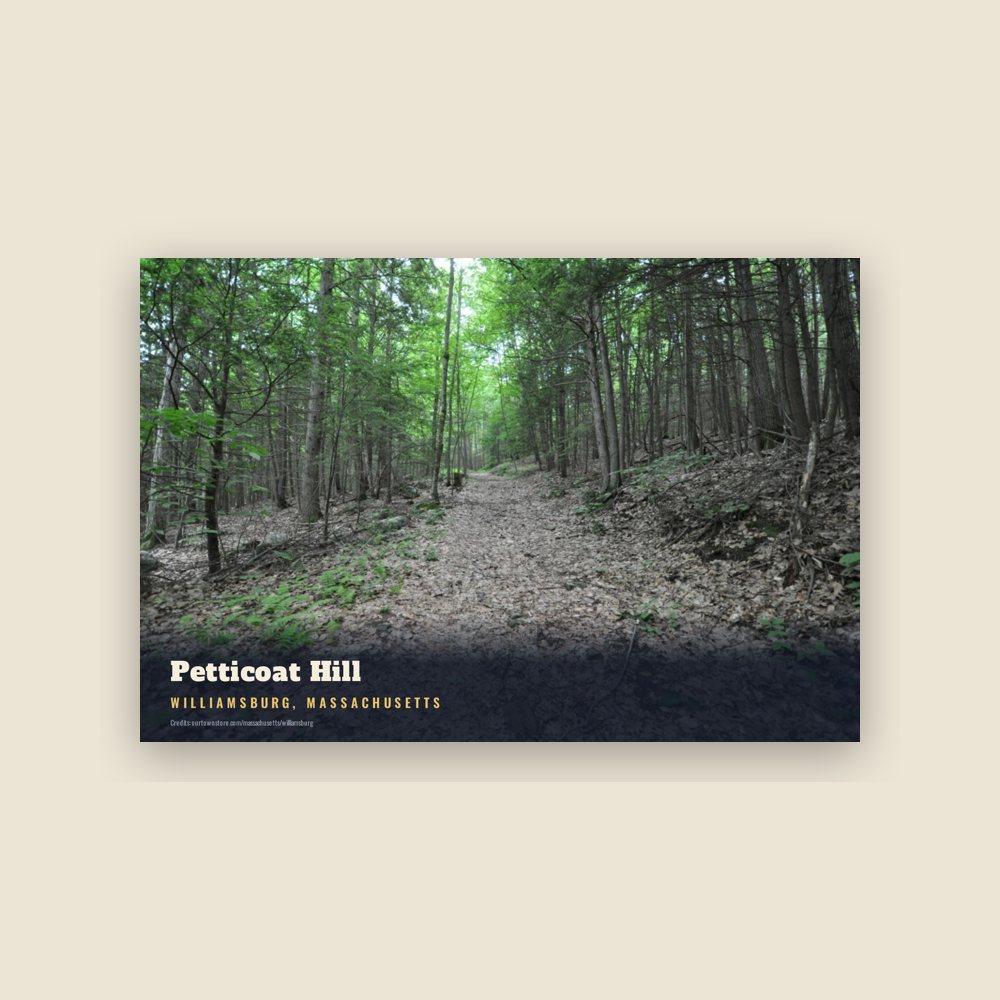 Williamsburg Petticoat Hill Postcard