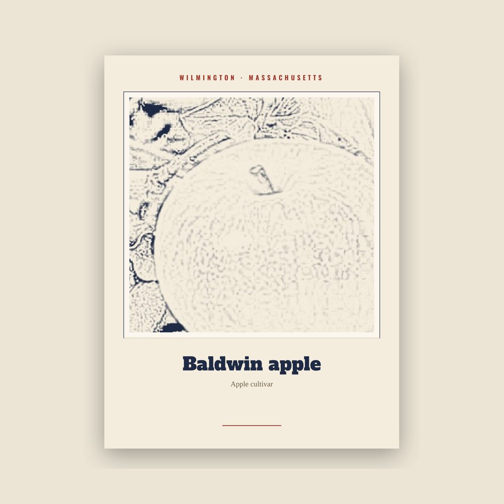 Wilmington Baldwin apple Landmark Print