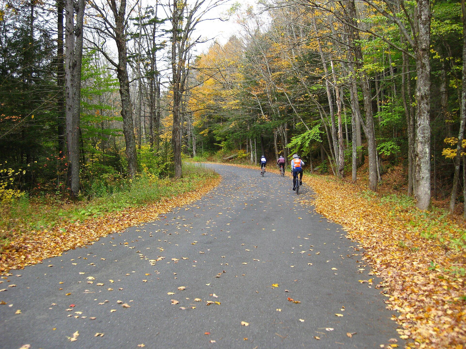 Windsor State Forest, Windsor, Massachusetts