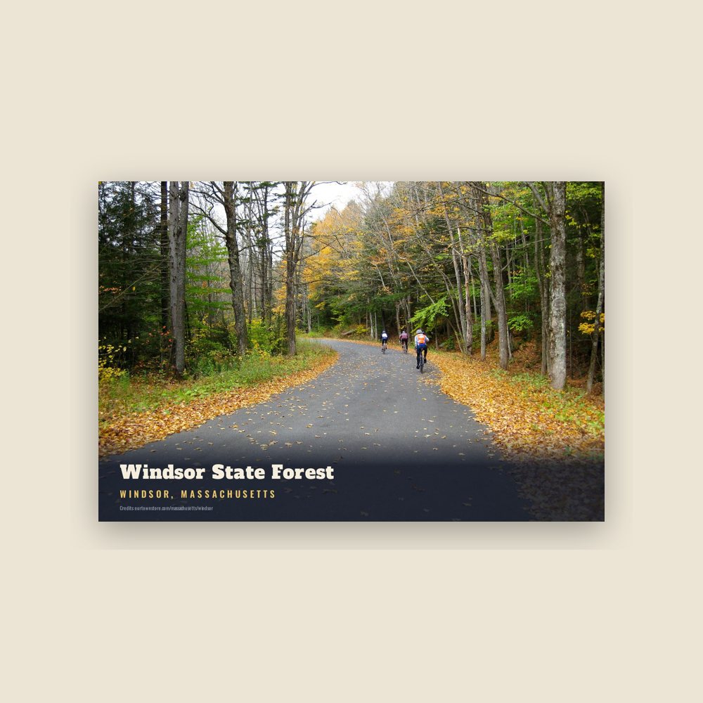 Windsor Windsor State Forest Postcard