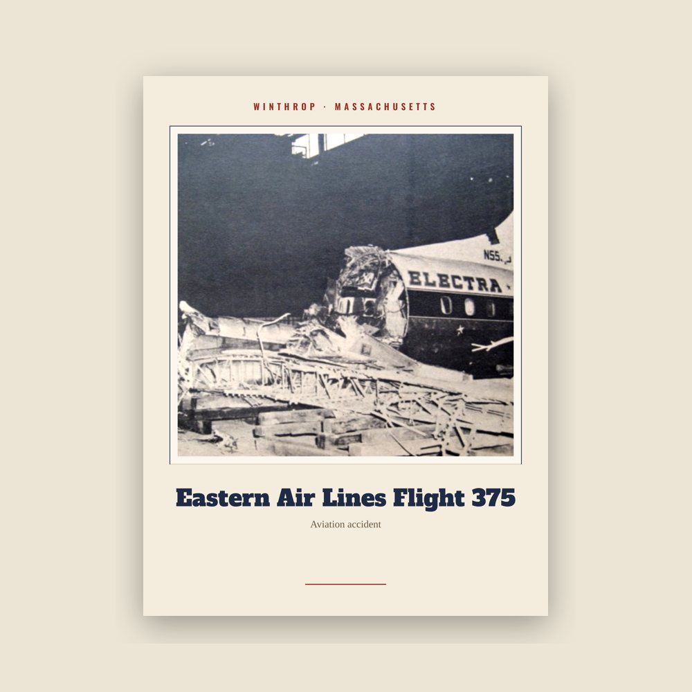 Winthrop Eastern Air Lines Flight 375 Landmark Print