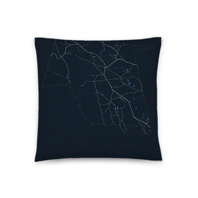 Worthington Map Throw Pillow