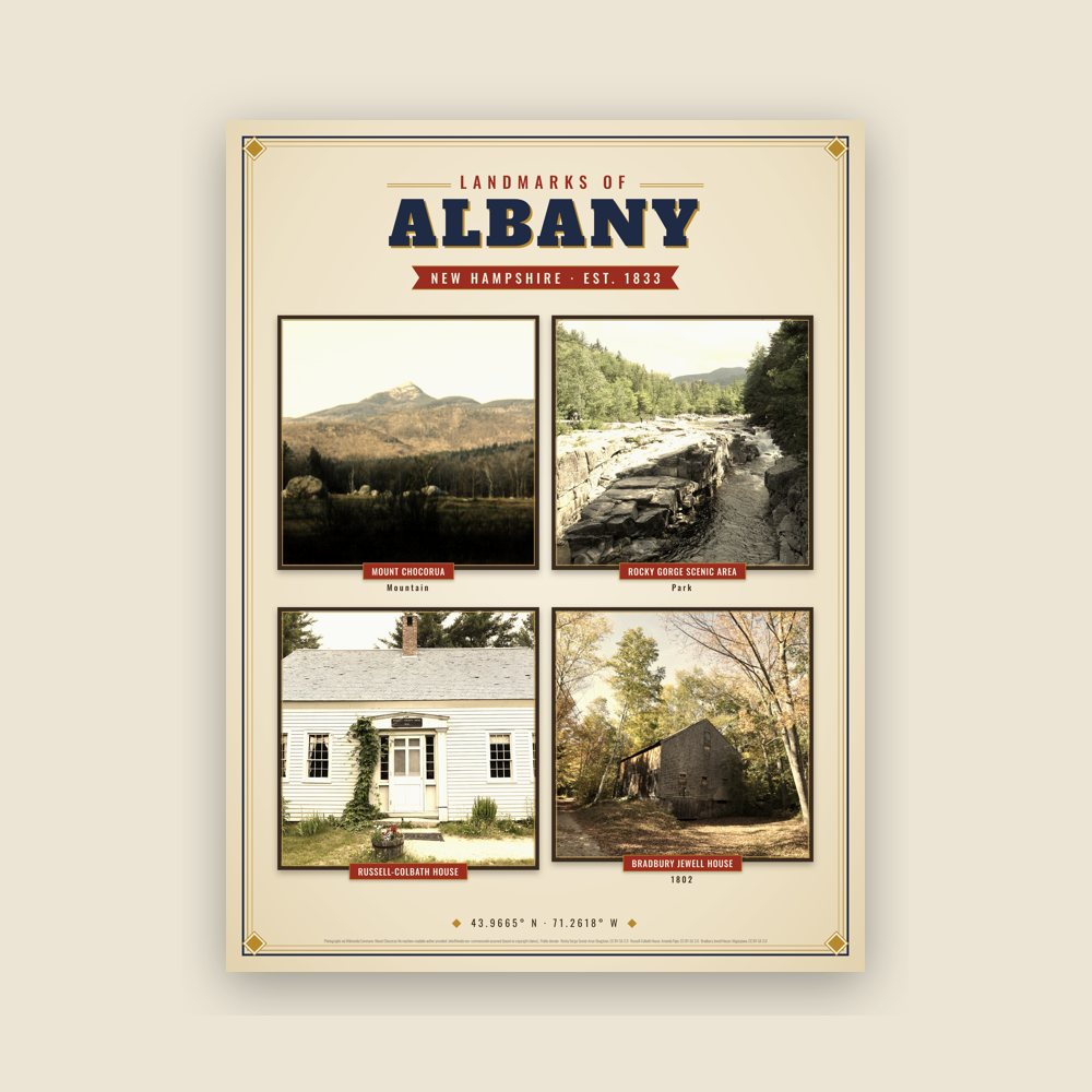 Albany Landmarks Photo Poster