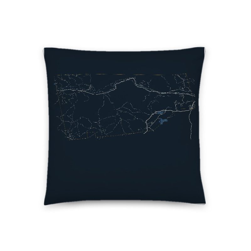 Albany Map Throw Pillow