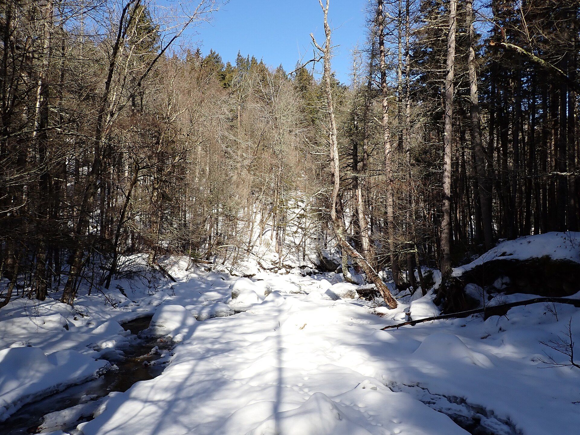 Welton Falls State Forest, Alexandria, New Hampshire
