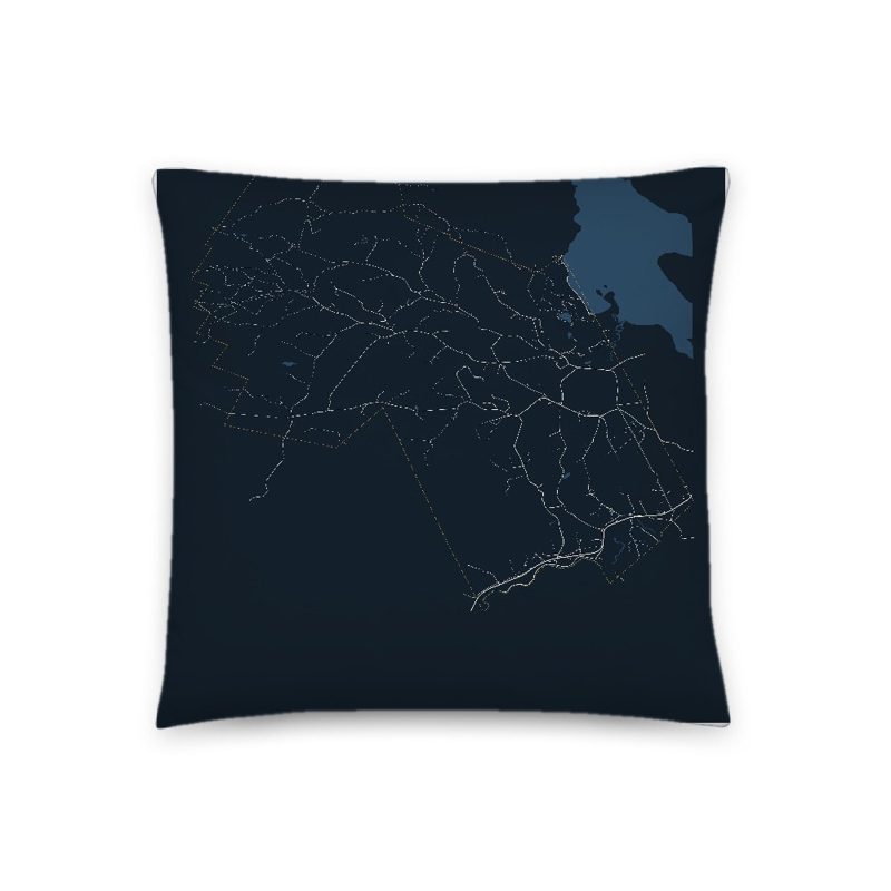 Alexandria Map Throw Pillow