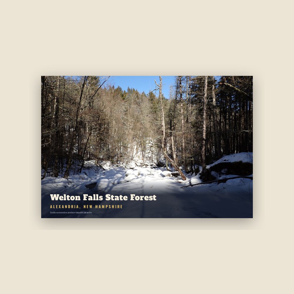 Alexandria Welton Falls State Forest Postcard