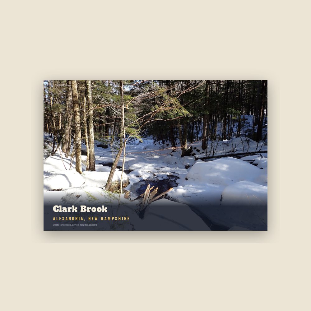 Alexandria Clark Brook Postcard