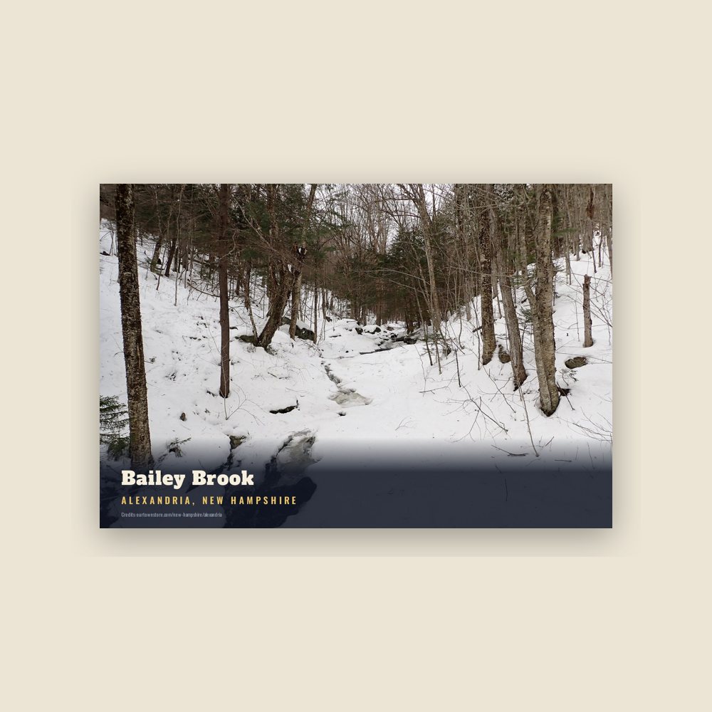Alexandria Bailey Brook Postcard
