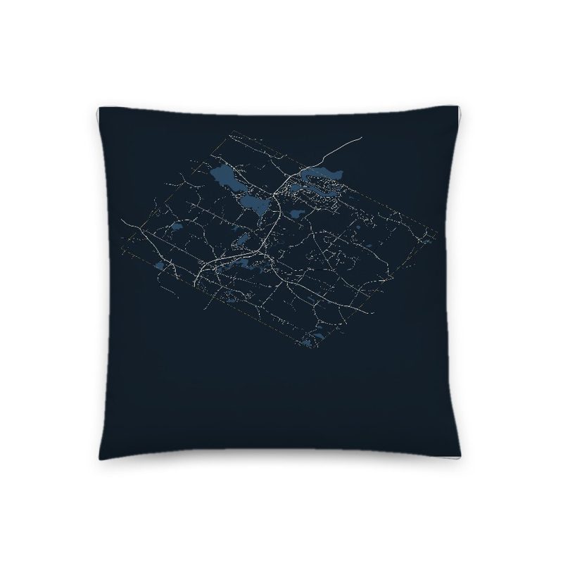 Barnstead Map Throw Pillow