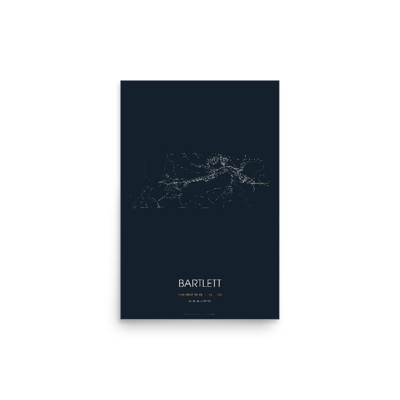 Bartlett Street Map Poster · Midnight