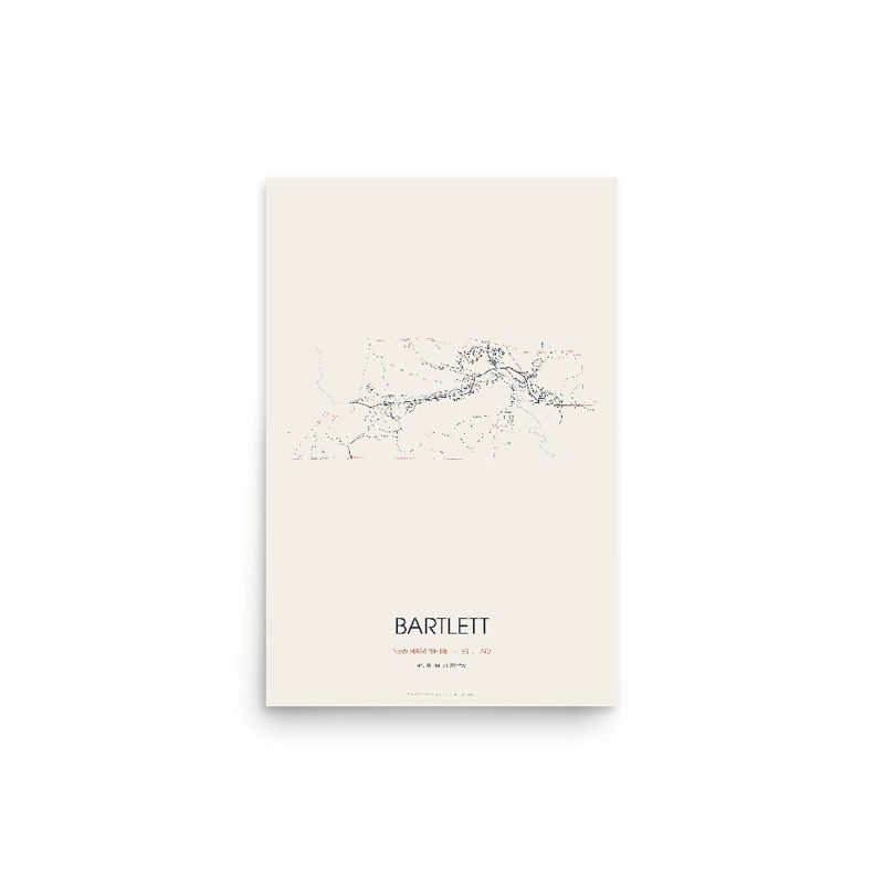 Bartlett Street Map Poster · Linen