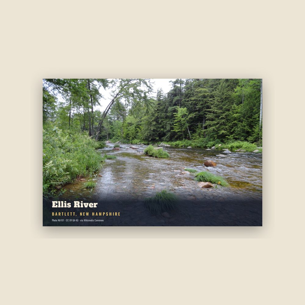 Bartlett Ellis River Postcard