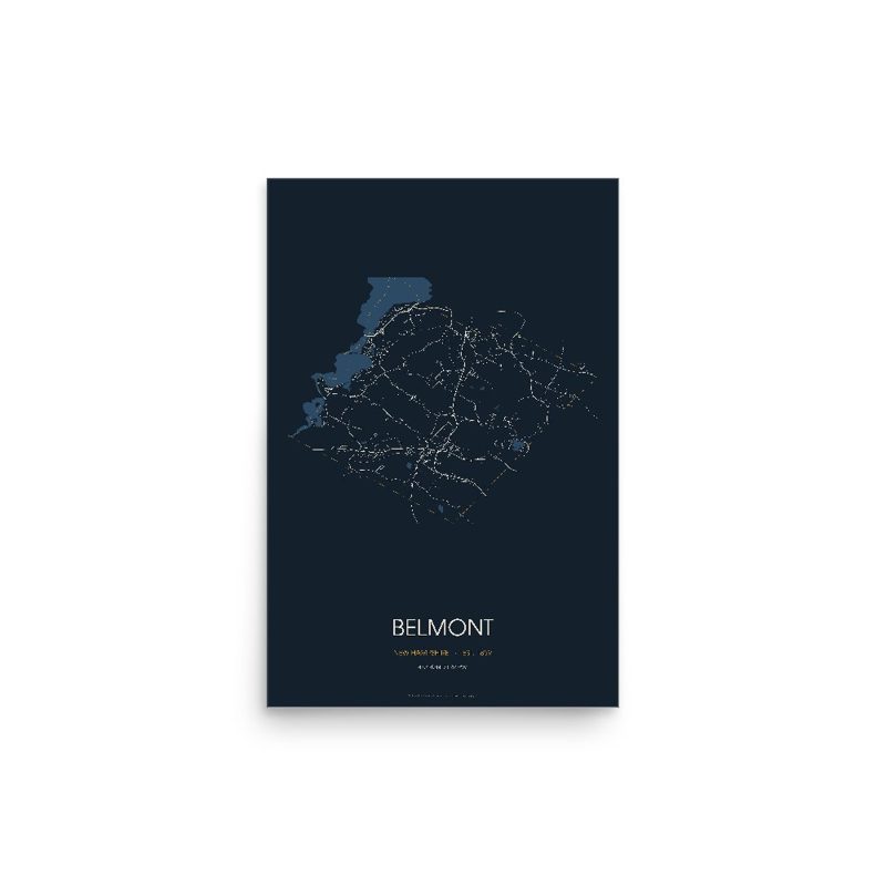 Belmont Street Map Poster · Midnight