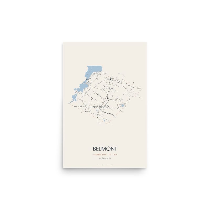 Belmont Street Map Poster · Linen