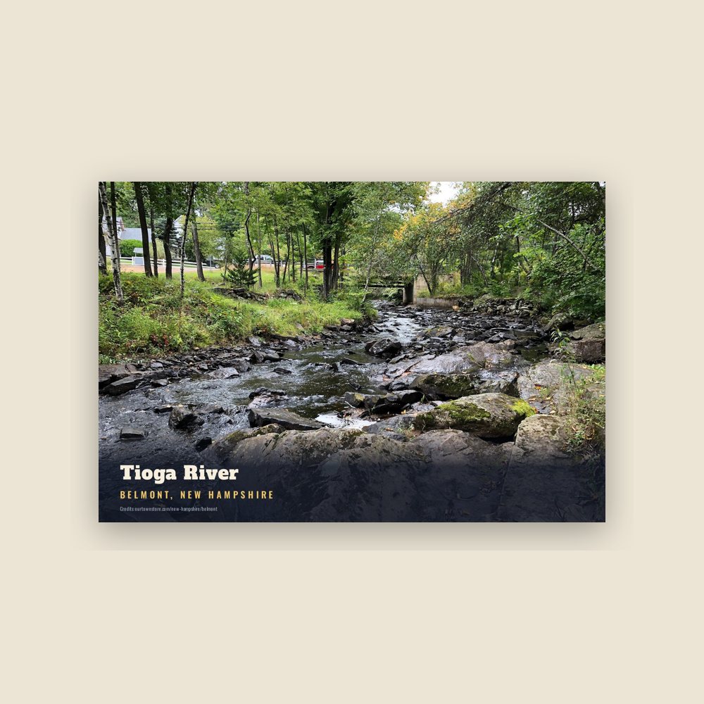 Belmont Tioga River Postcard