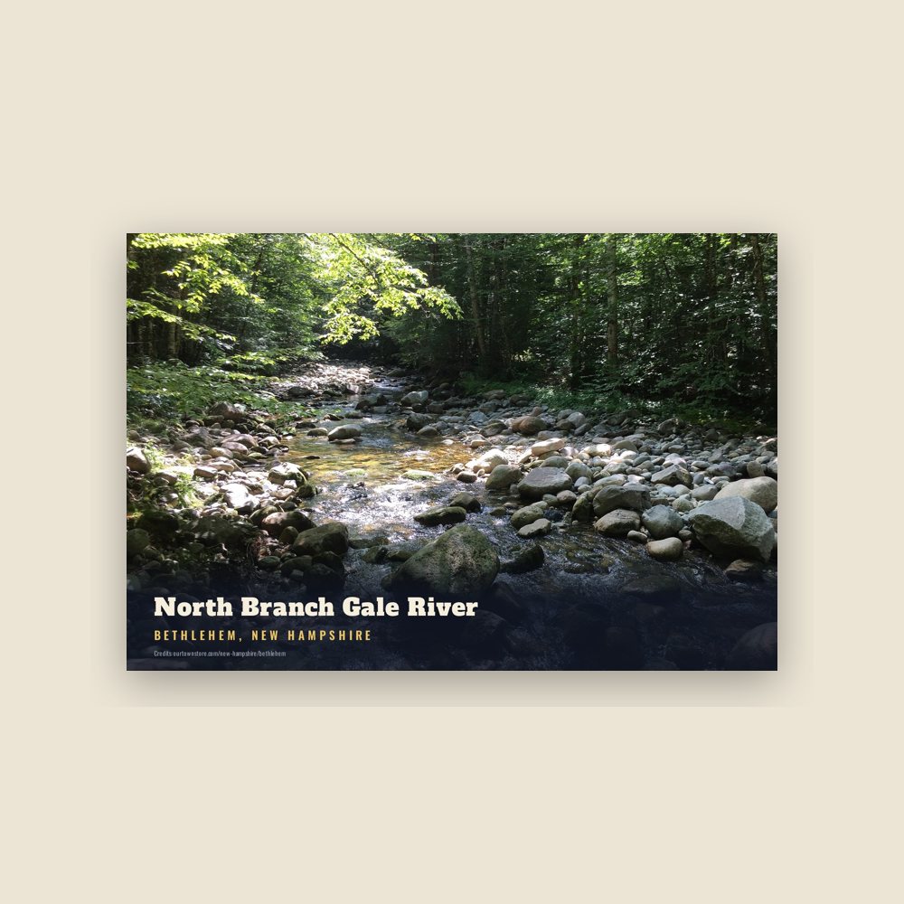 Bethlehem North Branch Gale River Postcard