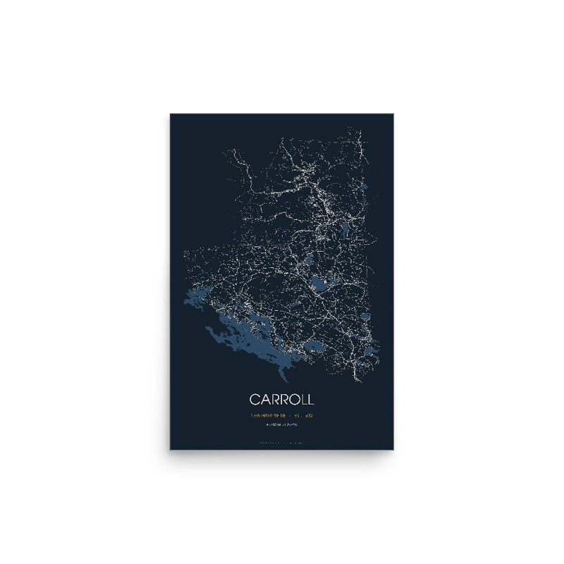Carroll Street Map Poster · Midnight