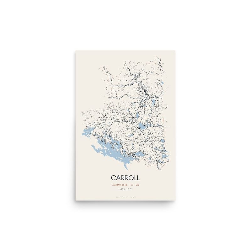 Carroll Street Map Poster · Linen