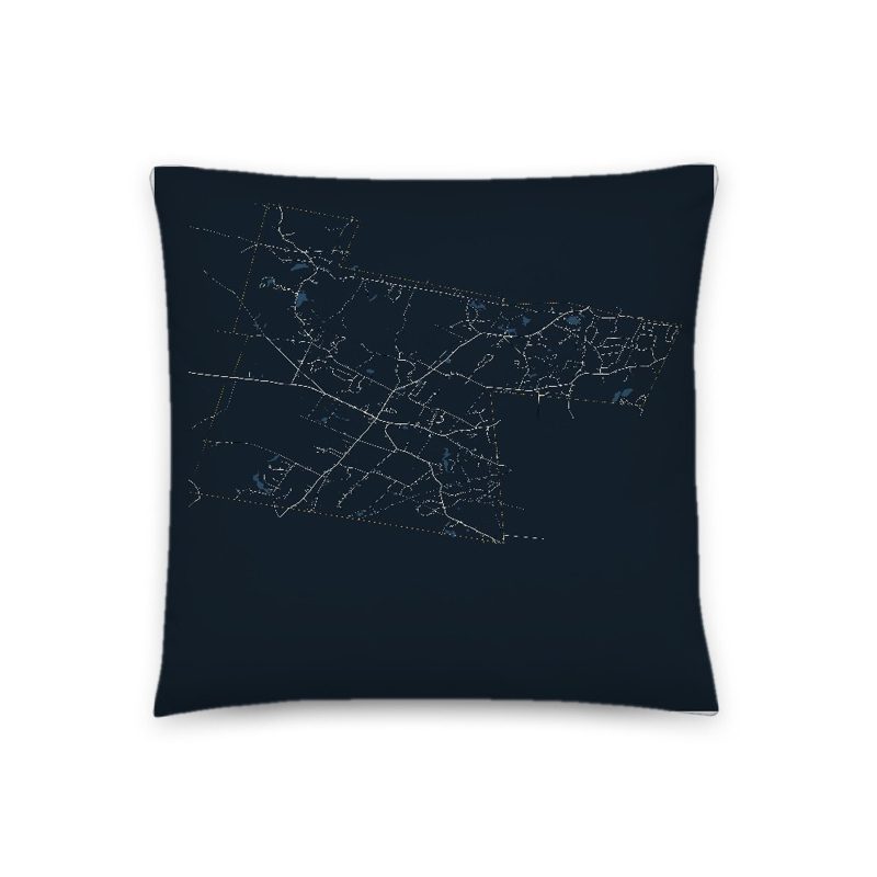 Chester Map Throw Pillow