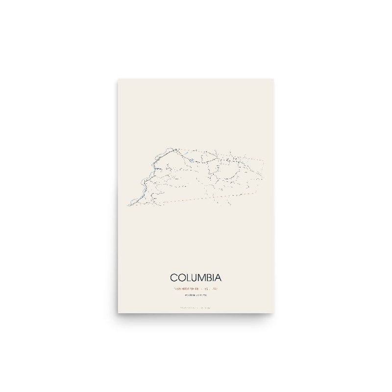 Columbia Street Map Poster · Linen