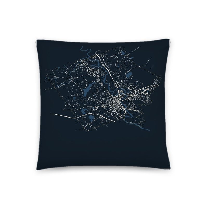 Concord Map Throw Pillow