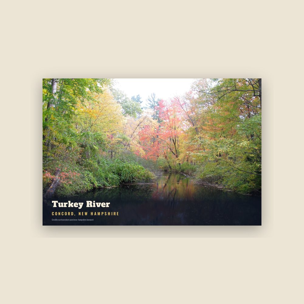 Concord Turkey River Postcard