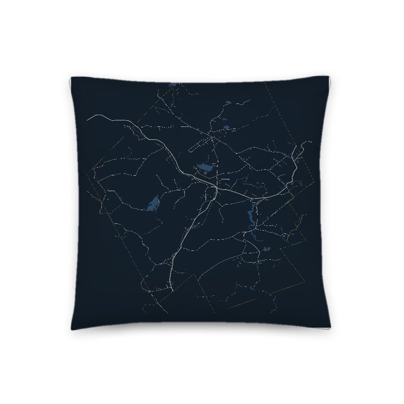 Danbury Map Throw Pillow