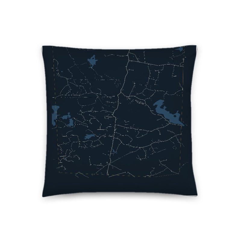 Danville Map Throw Pillow