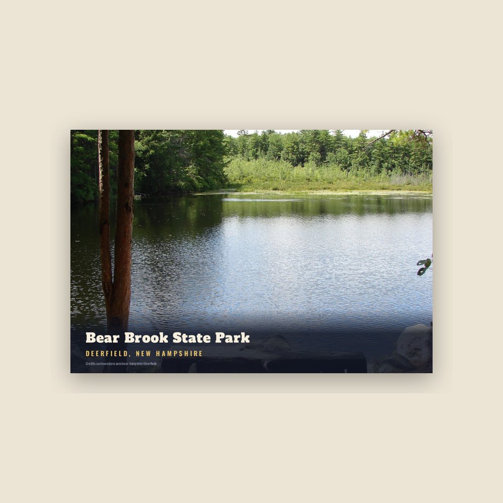 Deerfield Bear Brook State Park Postcard