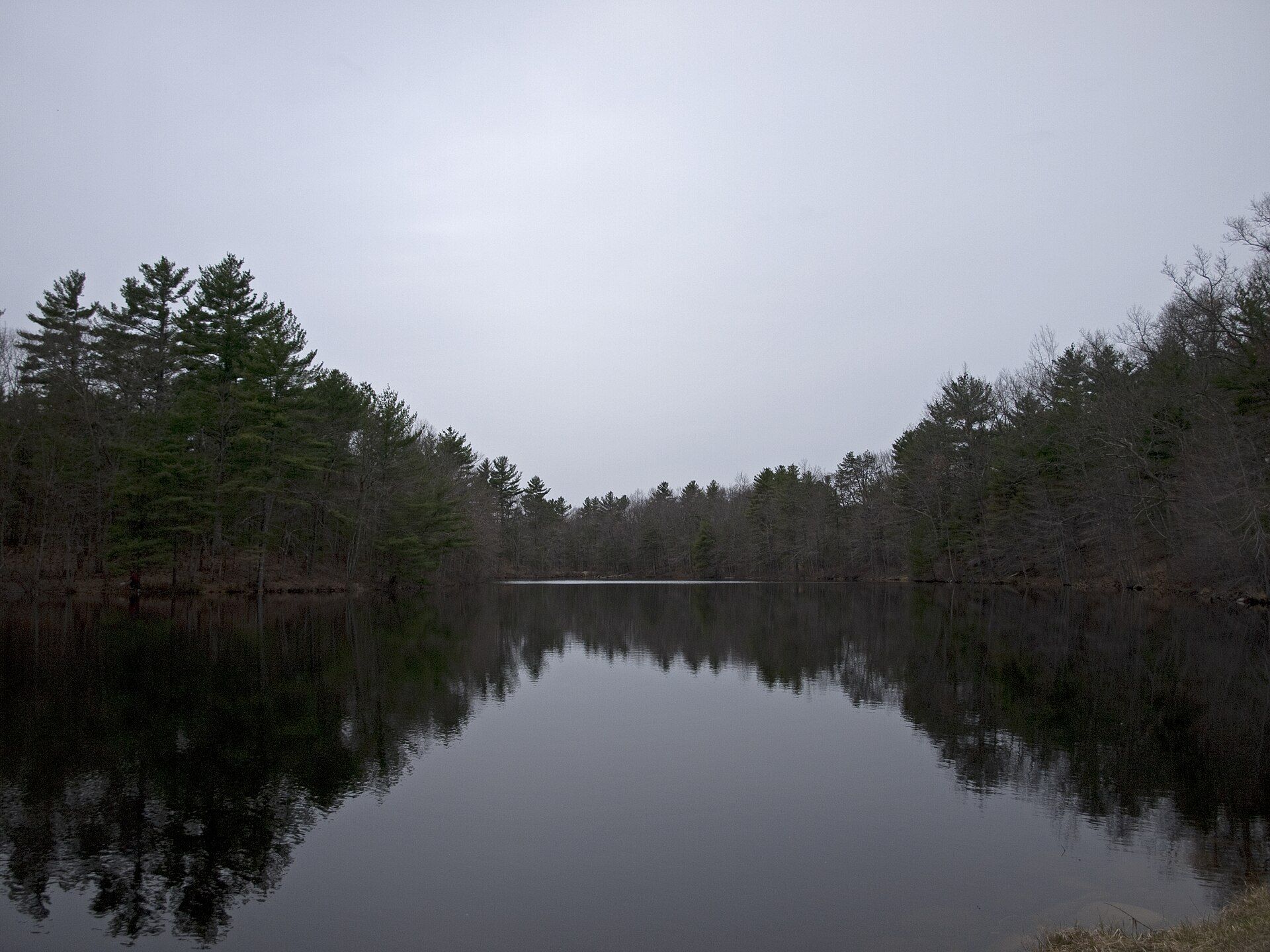 Ballard State Forest, Derry, New Hampshire