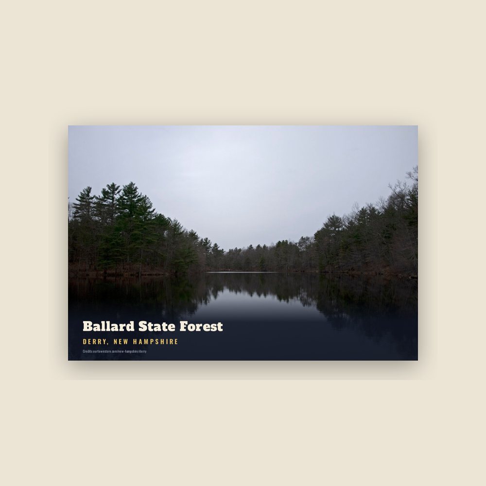 Derry Ballard State Forest Postcard