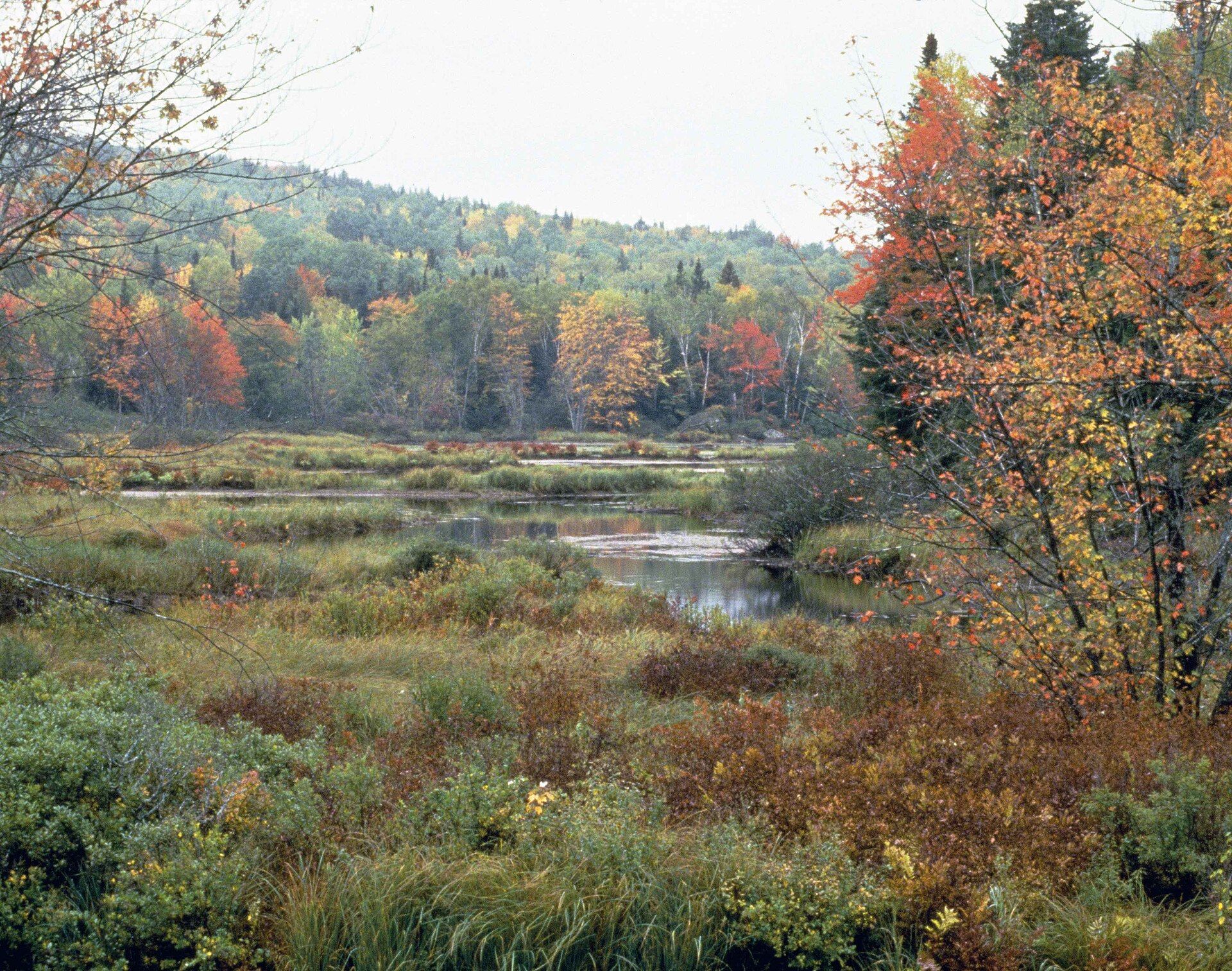 Umbagog National Wildlife Refuge, Errol, New Hampshire