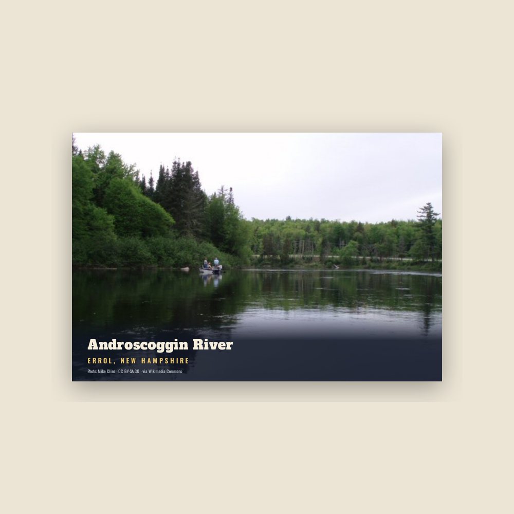 Errol Androscoggin River Postcard