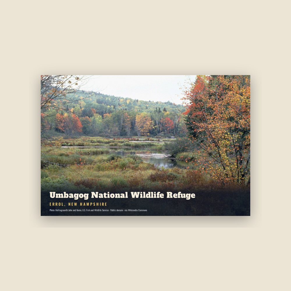 Errol Umbagog National Wildlife Refuge Postcard