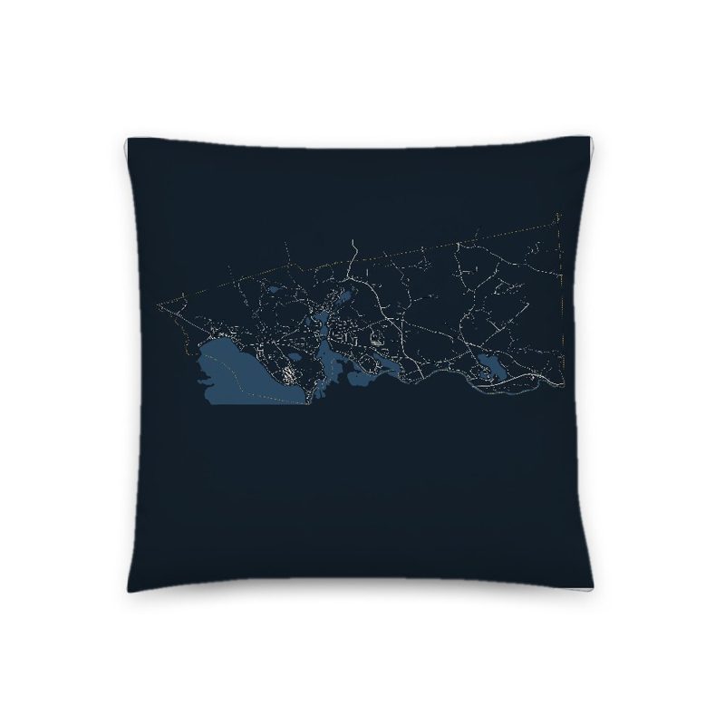Freedom Map Throw Pillow