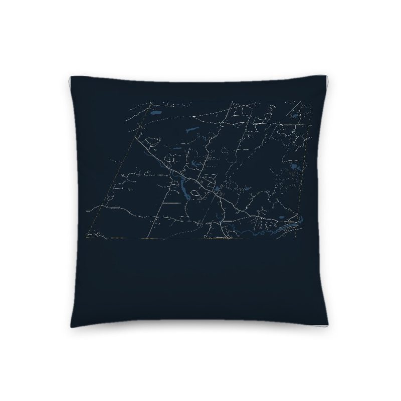 Fremont Map Throw Pillow