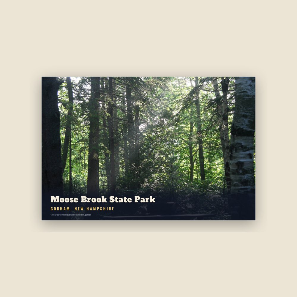 Gorham Moose Brook State Park Postcard
