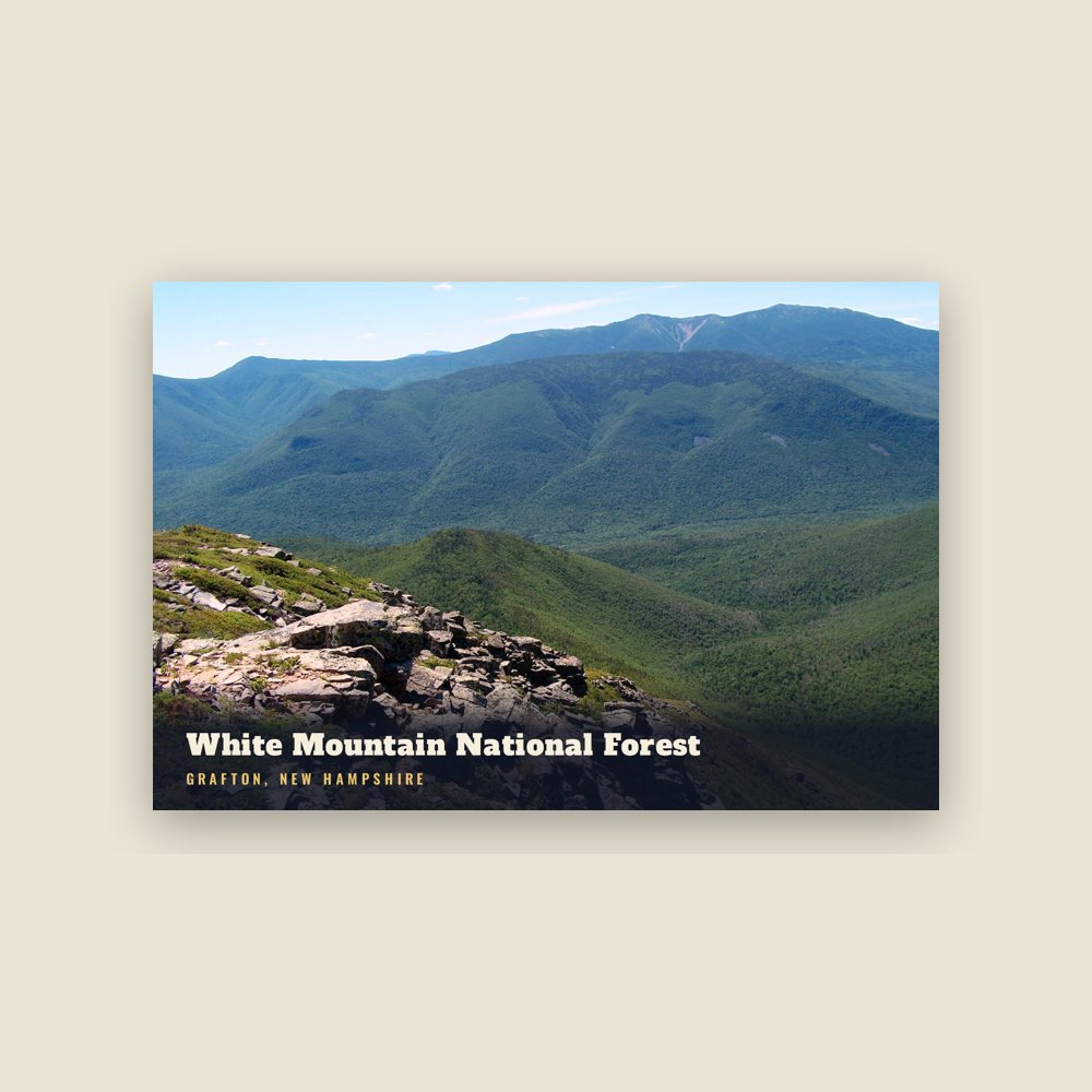 Grafton White Mountain National Forest Postcard